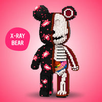 X-RAY BEAR
